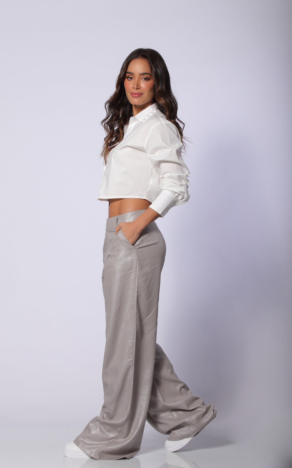 Pantalón Gris Lino Brillante